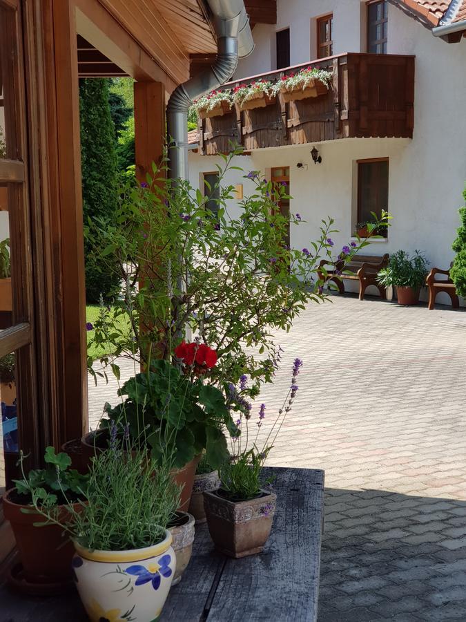 Sommer Panzio Balatonföldvár Eksteriør billede